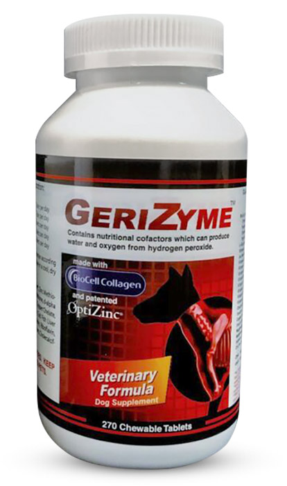 GeriZyme can help pets suffering from arthritis